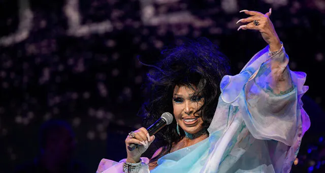 Bülent Ersoy Konserleri